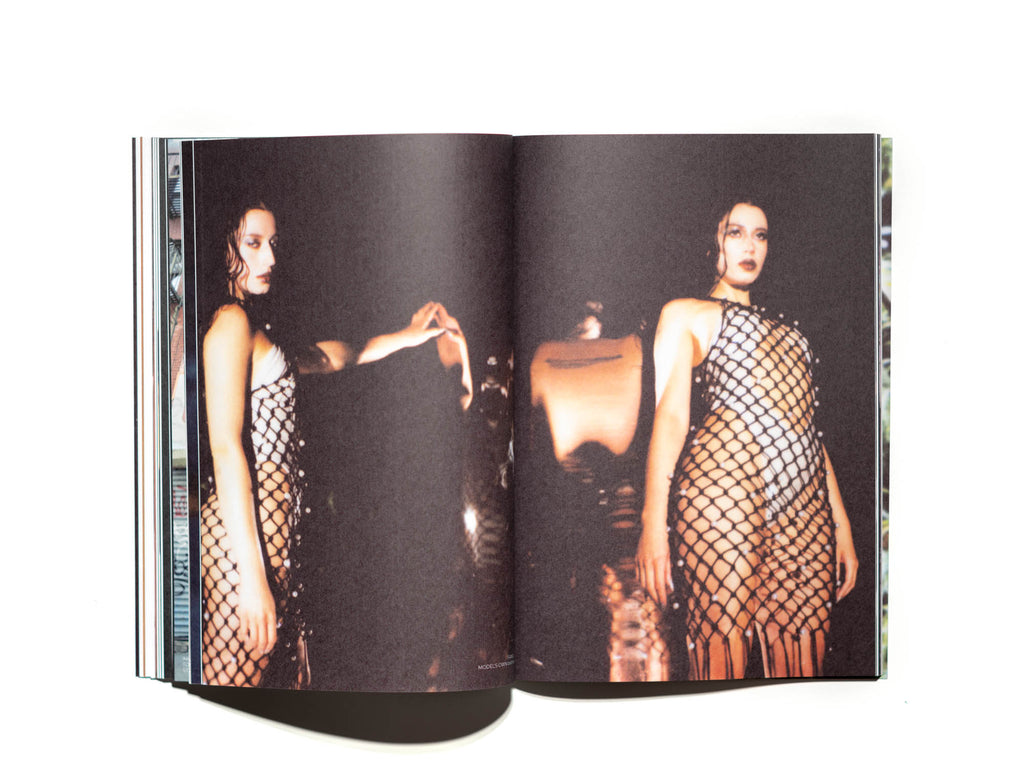 VOL XII • RAICES
